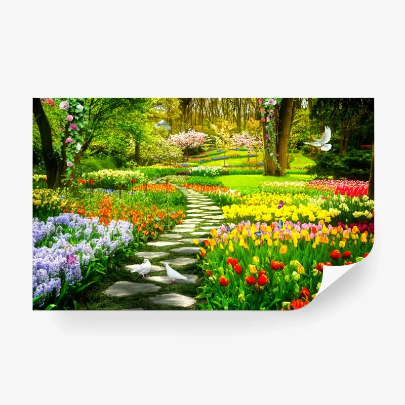 Wall mural sunlit forest path in green summer • Wallissimo®