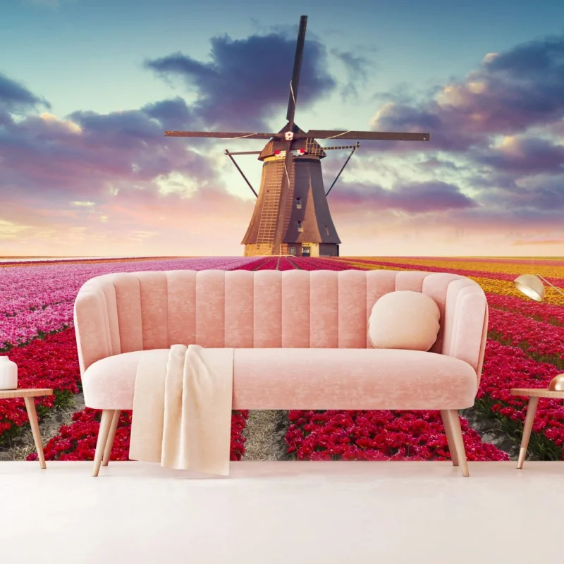 Wall mural Dutch tulip fields at sunset