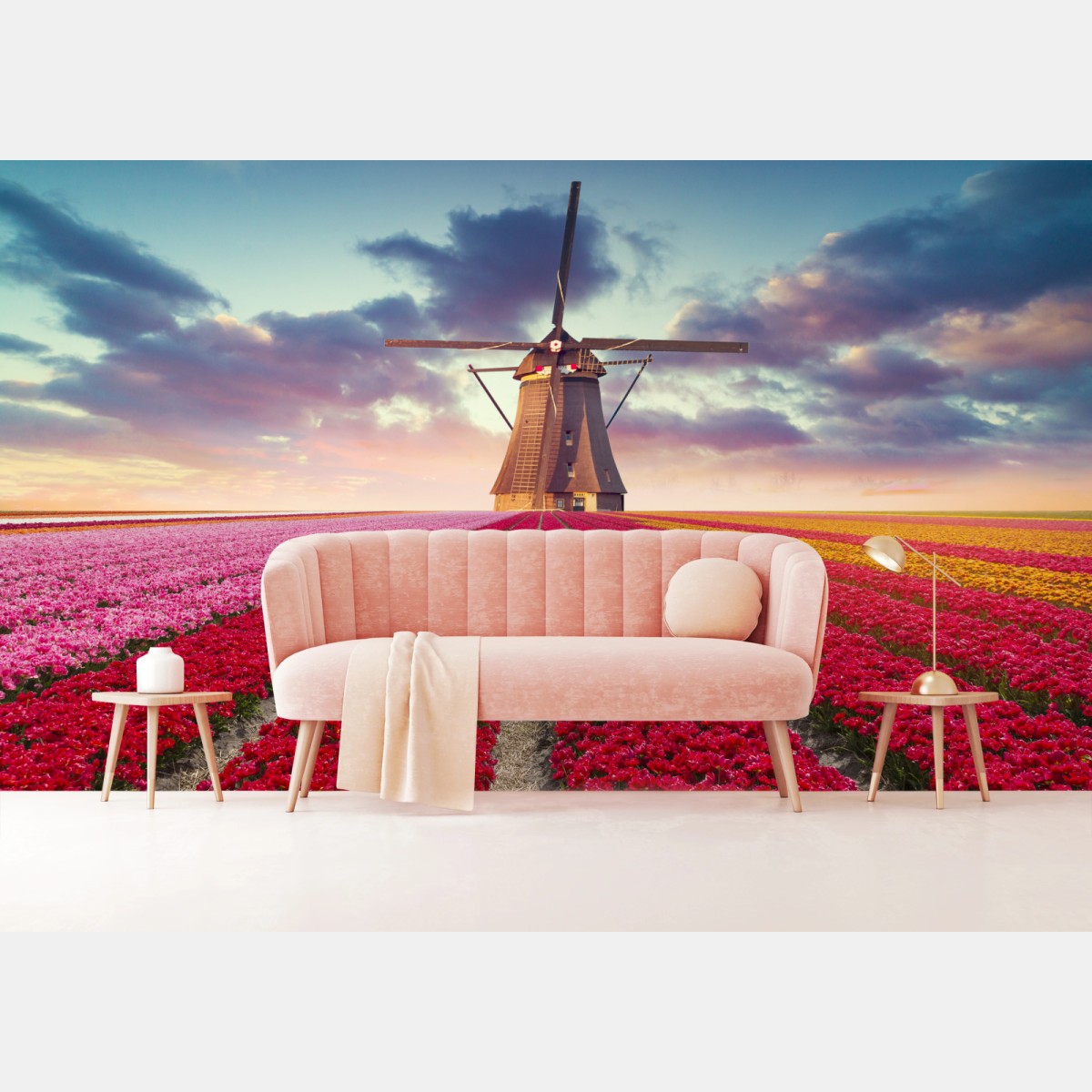 Wall mural Dutch tulip fields at sunset • Wallissimo®