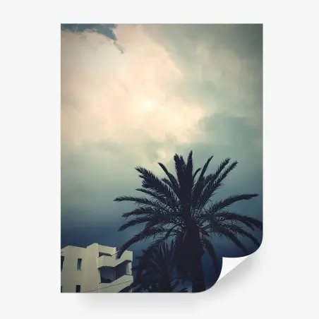 Wall mural moody palm silhouette against a cloudy sky • Wallissimo®
