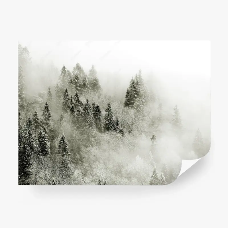 Wall mural • Wallissimo®
