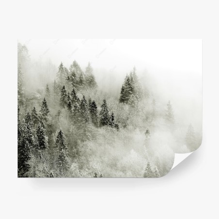 Wall mural misty winter forest in monochrome • Wallissimo®