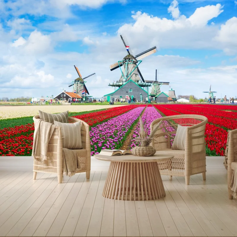Wall mural tulip fields and Dutch windmills