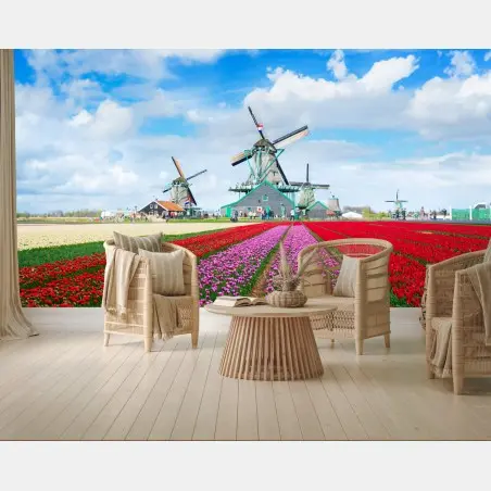Wall mural tulip fields and Dutch windmills • Wallissimo®