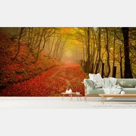 Wall mural autumn forest pathway under a golden canopy • Wallissimo®