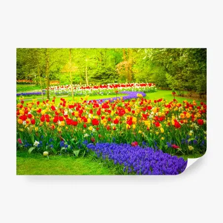 Wall mural vibrant spring tulip garden • Wallissimo®