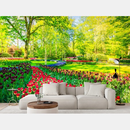 Wall mural vibrant tulip garden in spring • Wallissimo®