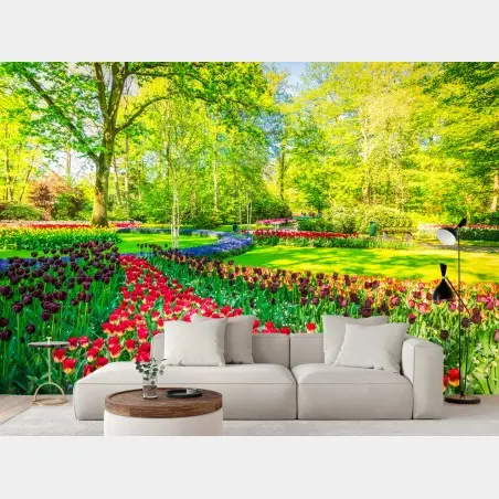 Wall mural vibrant tulip garden in spring • Wallissimo®