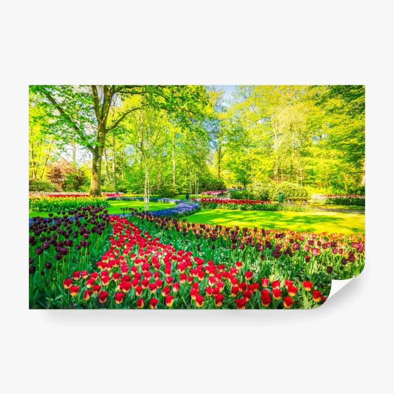 Wall mural vibrant tulip garden in spring