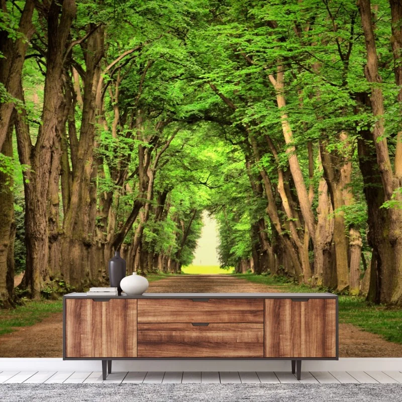 Wall mural sunlit tree-lined avenue
