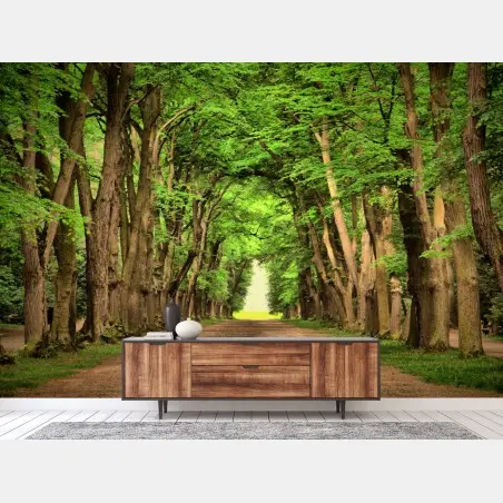 Wall mural sunlit tree-lined avenue • Wallissimo®