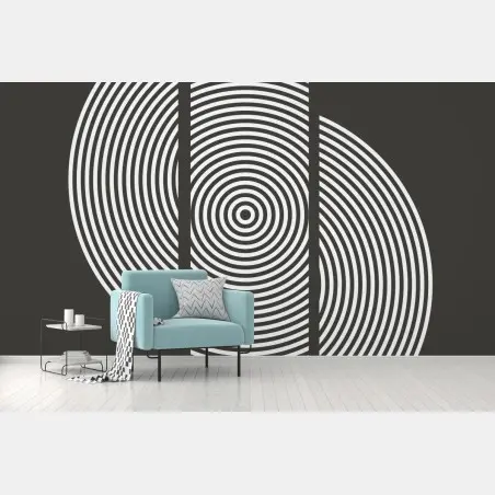 Wall mural monochrome concentric circle composition • Wallissimo®