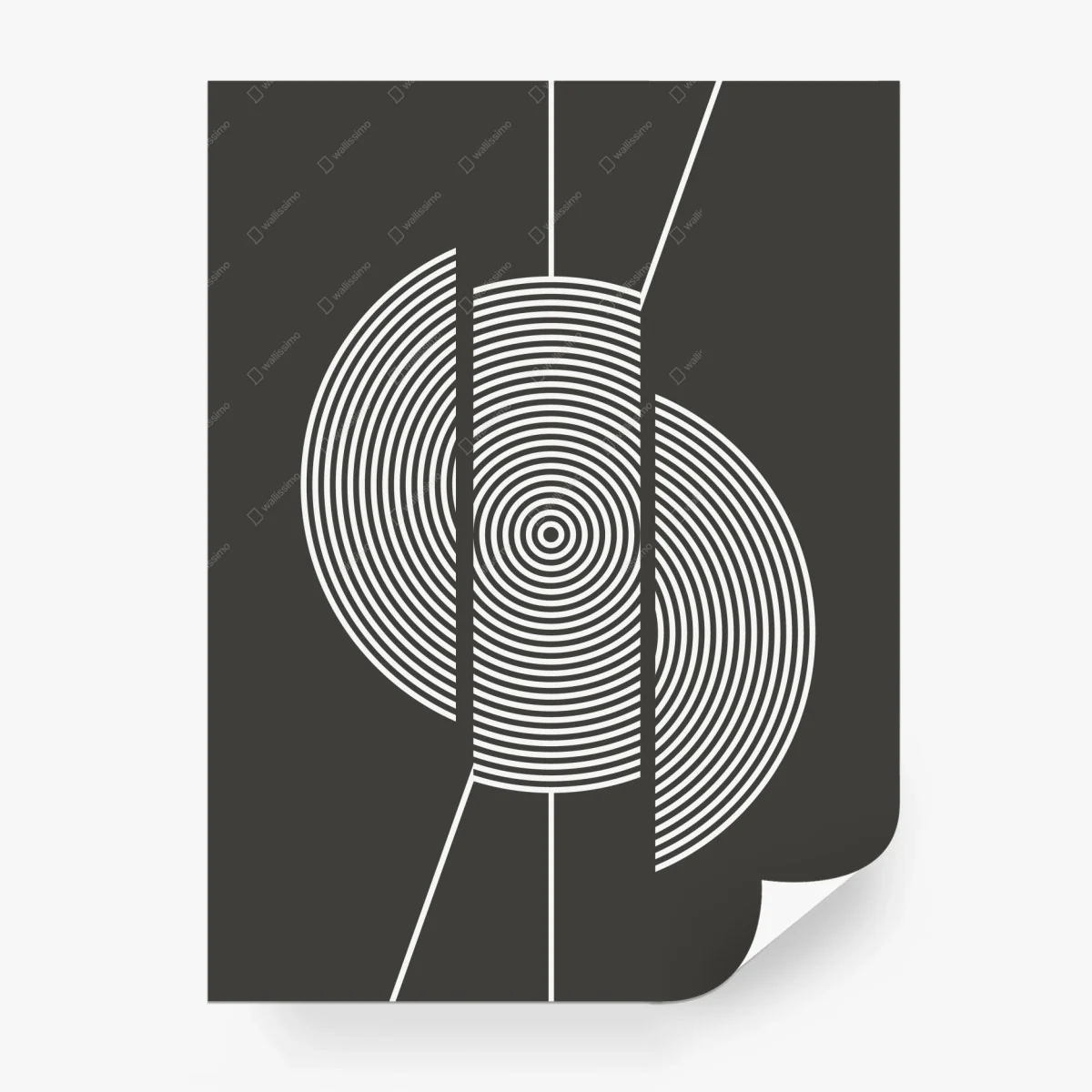 Wall mural monochrome concentric circle composition • Wallissimo® Wall mural monochrome concentric circle composition • Wallissimo®