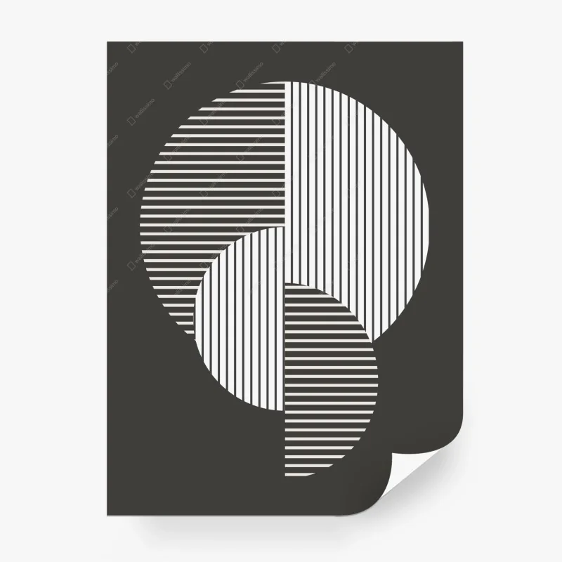 Wall mural interlocking geometric circles in monochrome