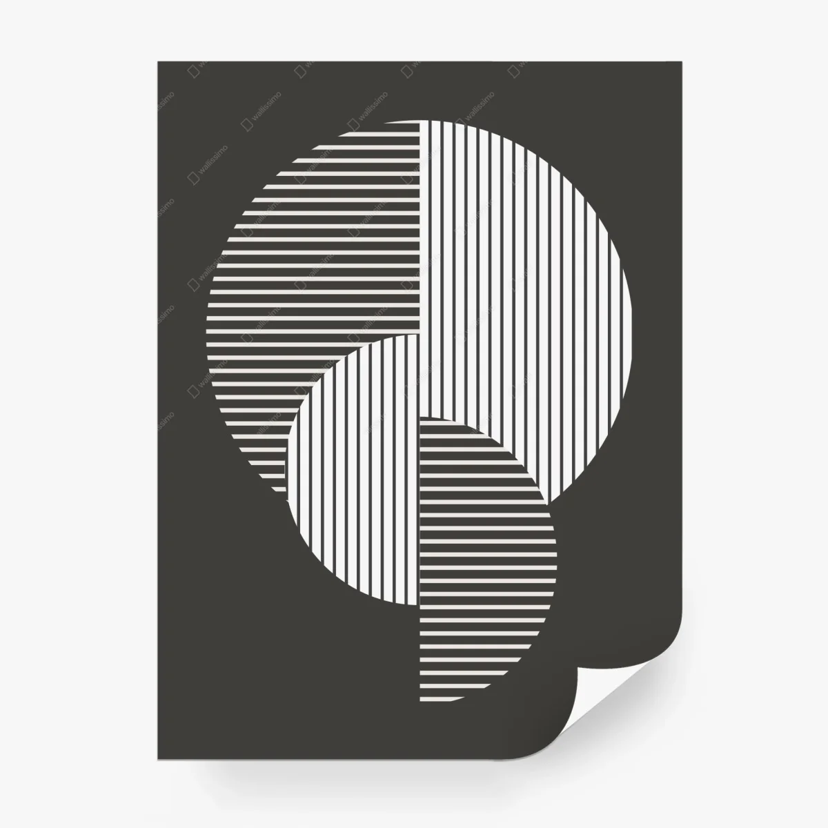 Wall mural interlocking geometric circles in monochrome • Wallissimo® Wall mural interlocking geometric circles in monochrome • Wallissimo®