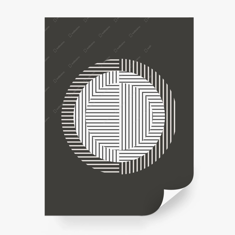 Wall mural monochrome geometric circle