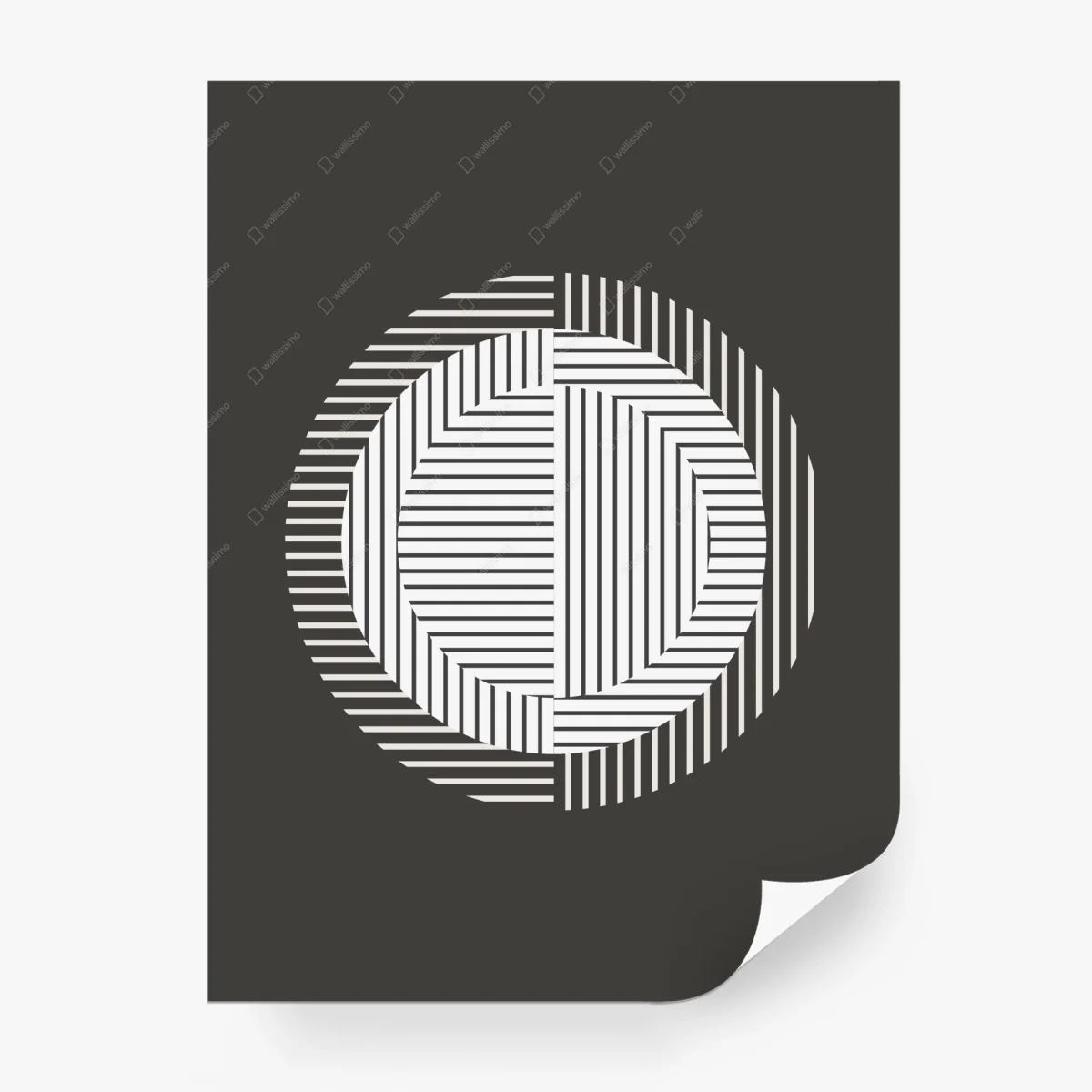 Wall mural monochrome geometric circle • Wallissimo®