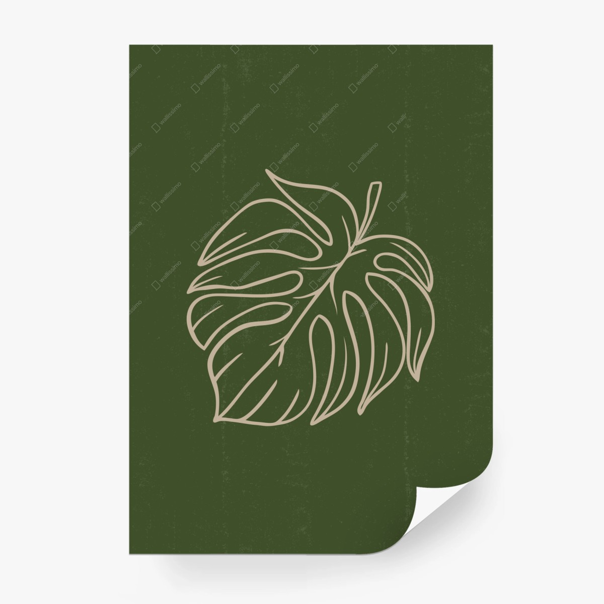 Wall mural minimalist monstera leaf botanical artwork • Wallissimo®
