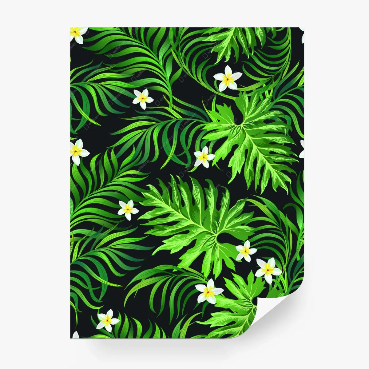 Wall mural lush tropical leaves with white plumeria • Wallissimo®