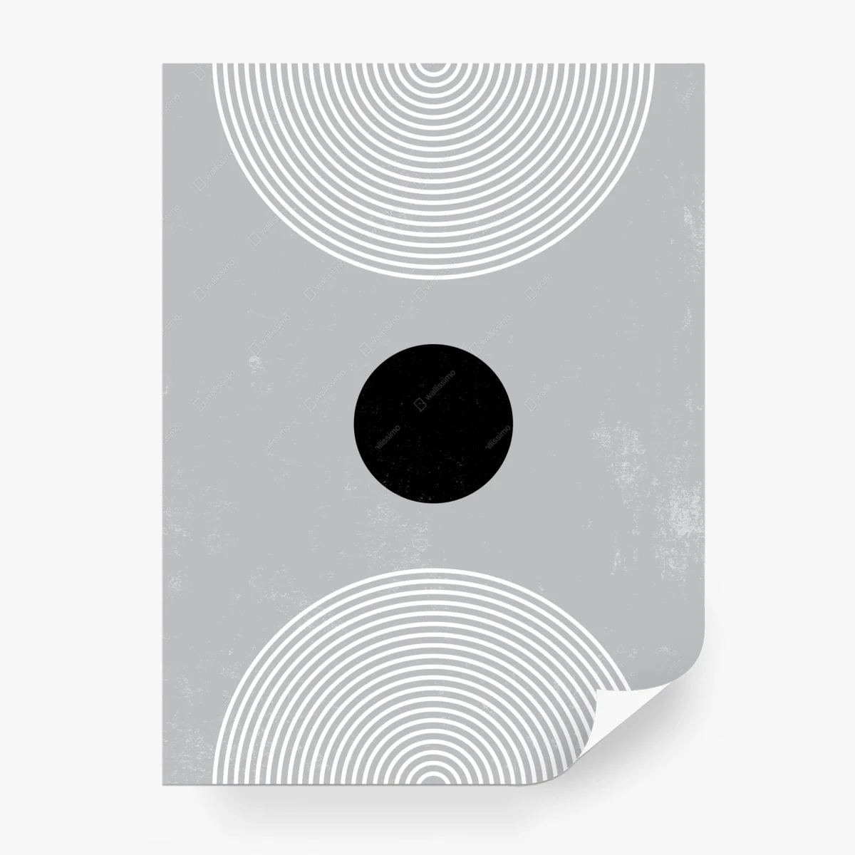 Wall mural minimal concentric circles composition • Wallissimo® Wall mural minimal concentric circles composition • Wallissimo®