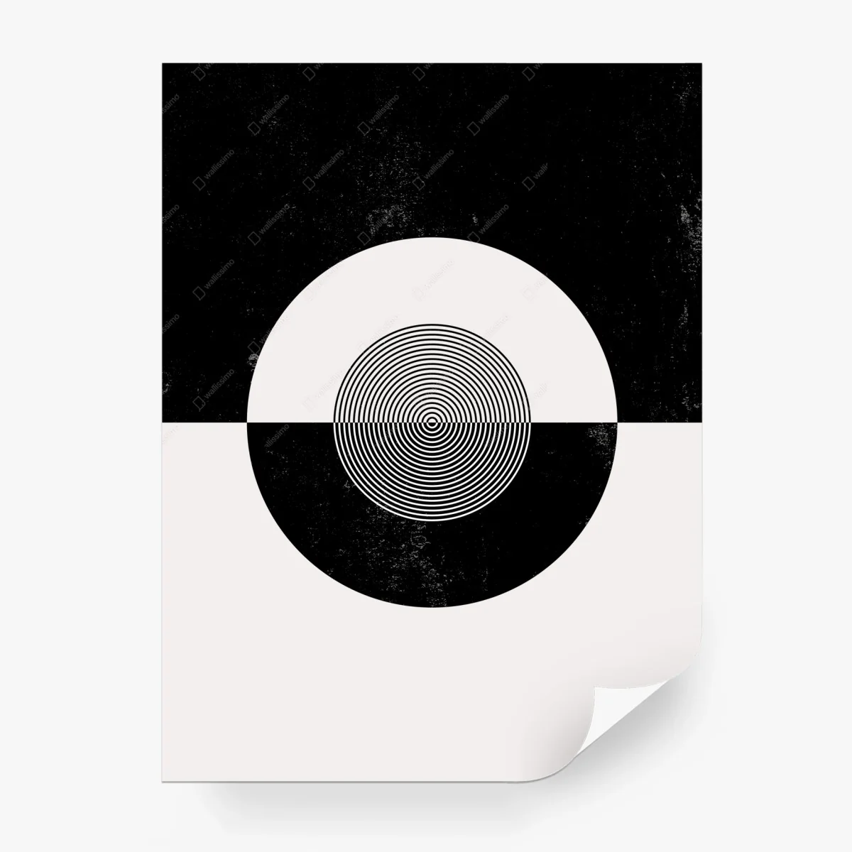Wall mural monochrome concentric circle composition • Wallissimo® Wall mural monochrome concentric circle composition • Wallissimo®