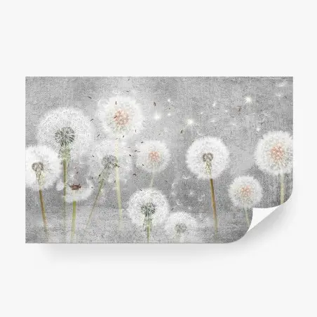 Wall mural delicate dandelion seeds on textured gray background • Wallissimo®
