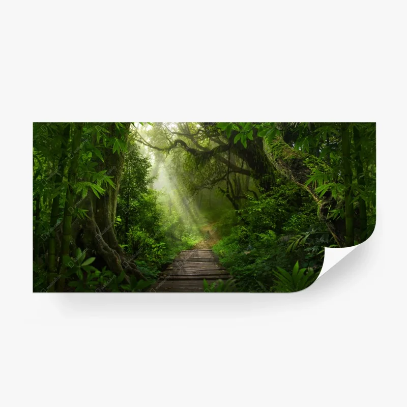 Wall mural • Wallissimo®