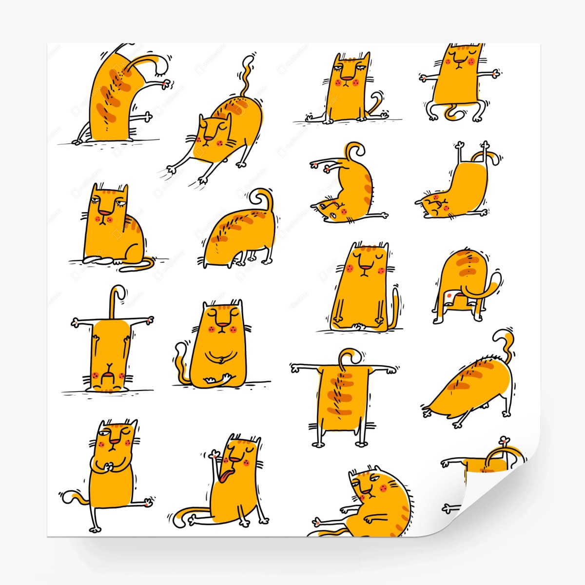 Wall mural playful orange cat poses • Wallissimo®
