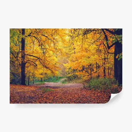 Wall mural golden autumn pathway in forest • Wallissimo®