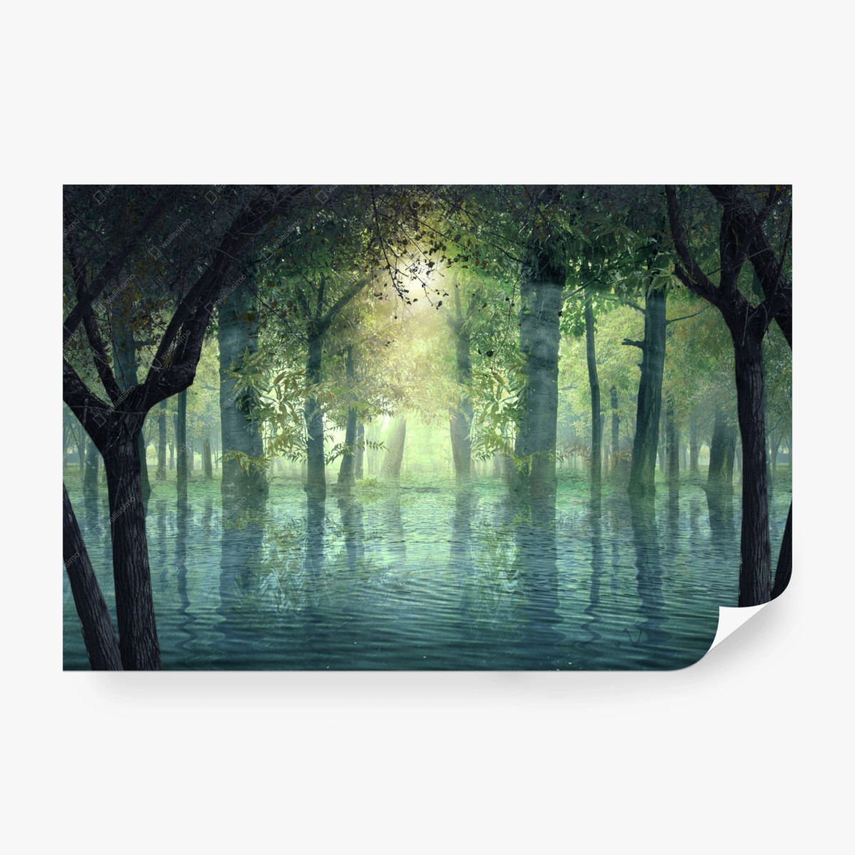 Wall mural enchanted flooded forest with sunlight • Wallissimo®