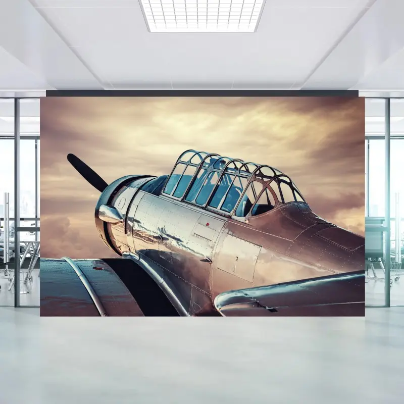 Wall mural vintage silver aircraft close-up