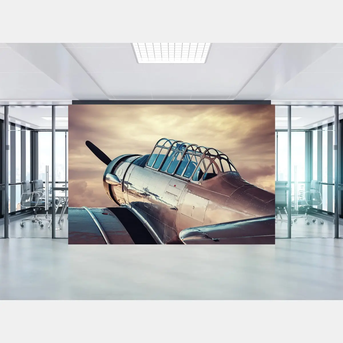 Wall mural vintage silver aircraft close-up • Wallissimo®