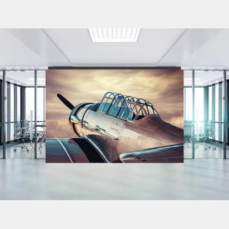 Wall mural vintage silver aircraft close-up • Wallissimo®