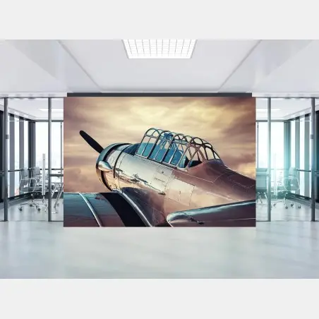 Wall mural vintage silver aircraft close-up • Wallissimo®