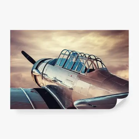 Wall mural vintage silver aircraft close-up • Wallissimo®