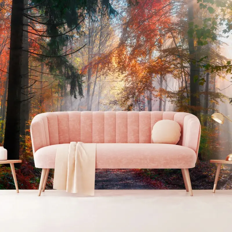 Wall mural magical autumn forest with sunlit mist