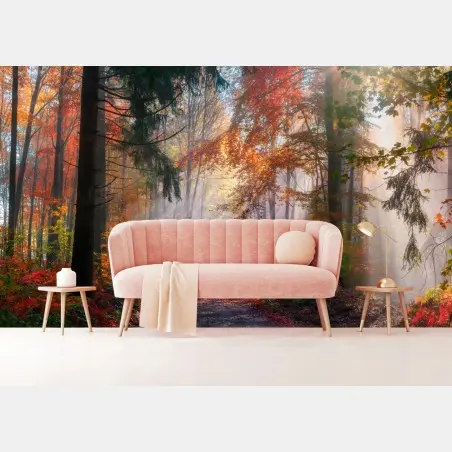 Wall mural magical autumn forest with sunlit mist • Wallissimo®