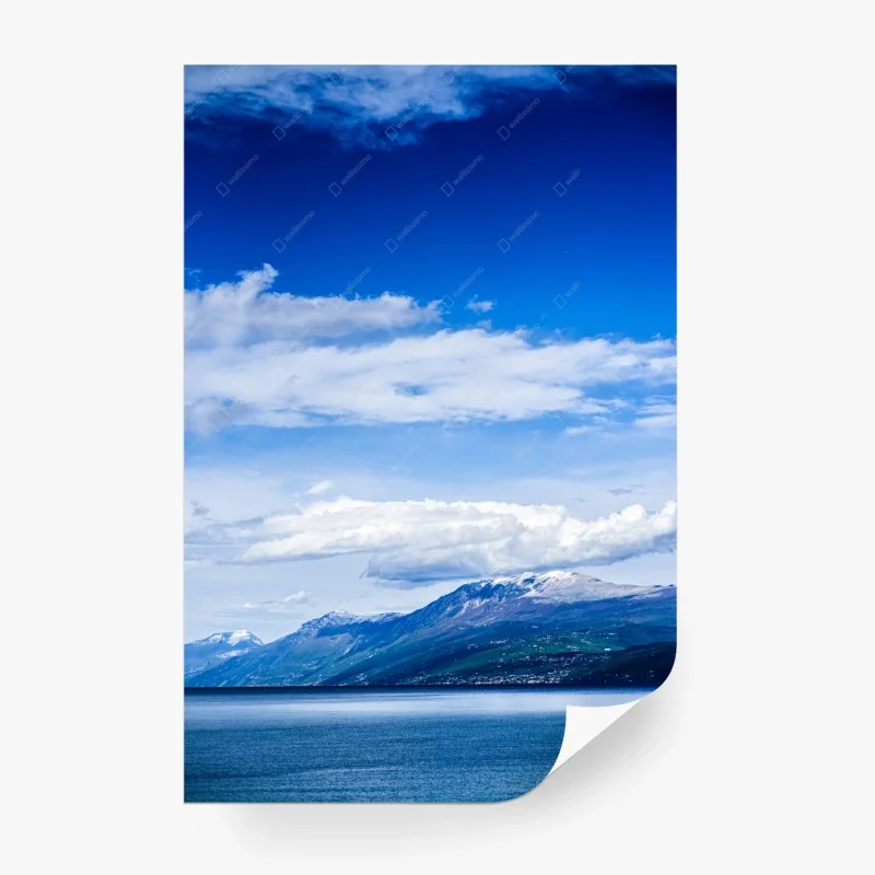 Wall mural delicate ginkgo leaf pattern • Wallissimo®