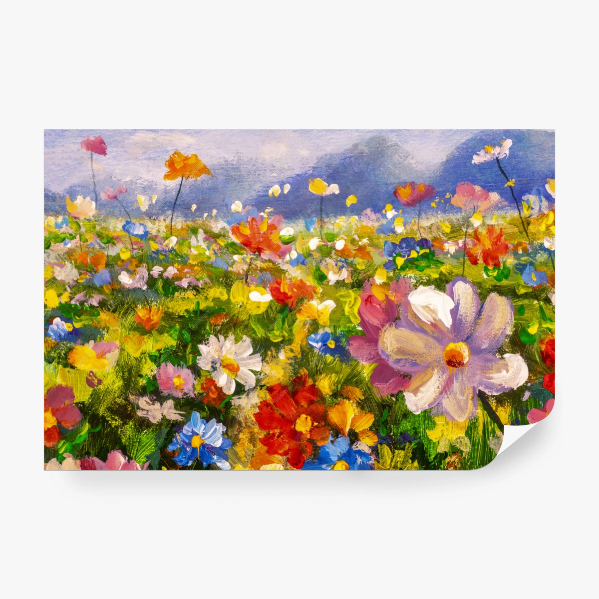 Wall mural vibrant wildflower meadow • Wallissimo®