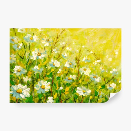 Wall mural sunlit chamomile meadow • Wallissimo®