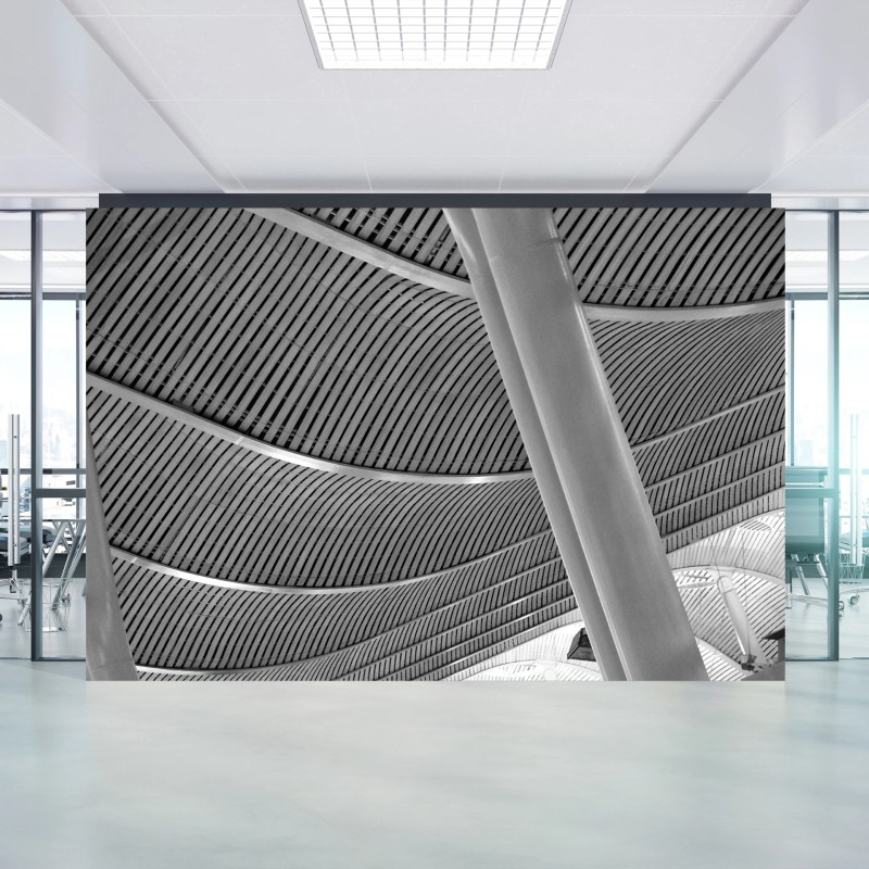 Wall mural curved architectural ceiling in grayscale