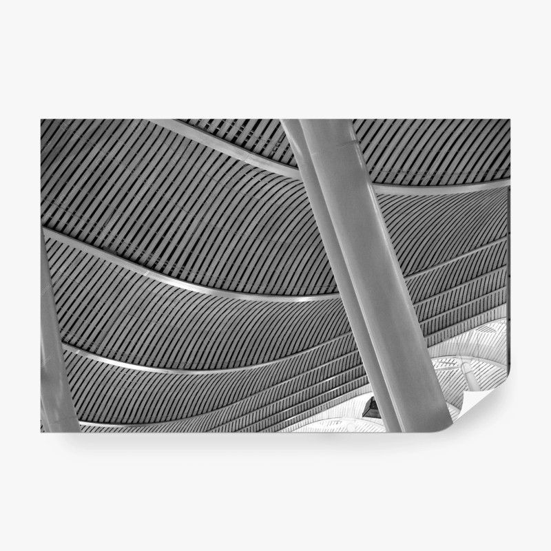 Wall mural curved architectural ceiling in grayscale