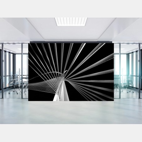 Wall mural architectural bridge lines in monochrome • Wallissimo®