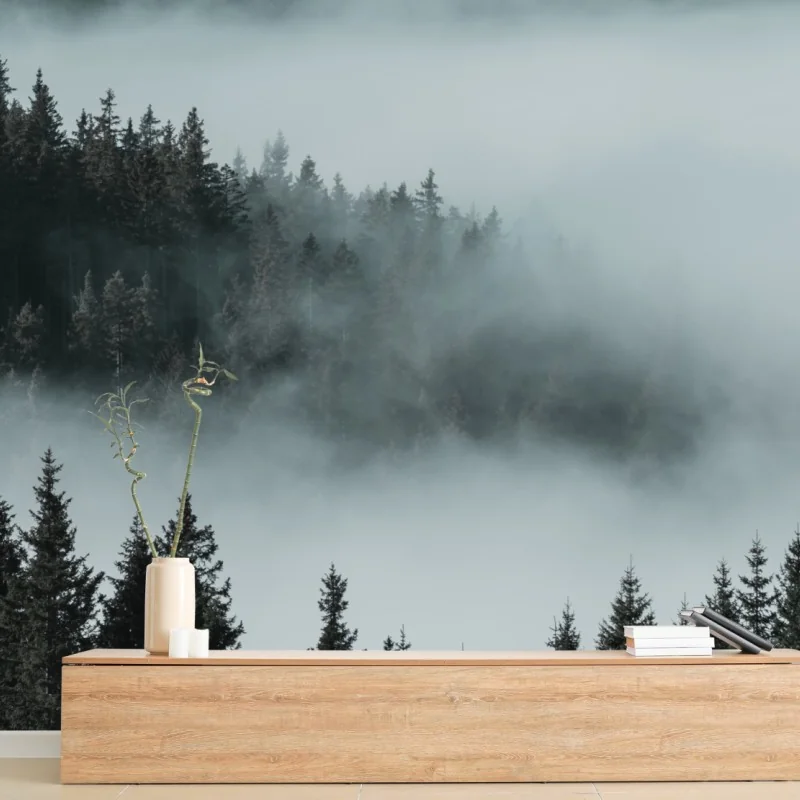 Wall mural misty pine forest in fog