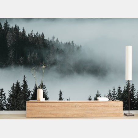 Wall mural misty pine forest in fog • Wallissimo®