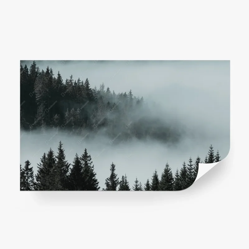 Wall mural • Wallissimo®