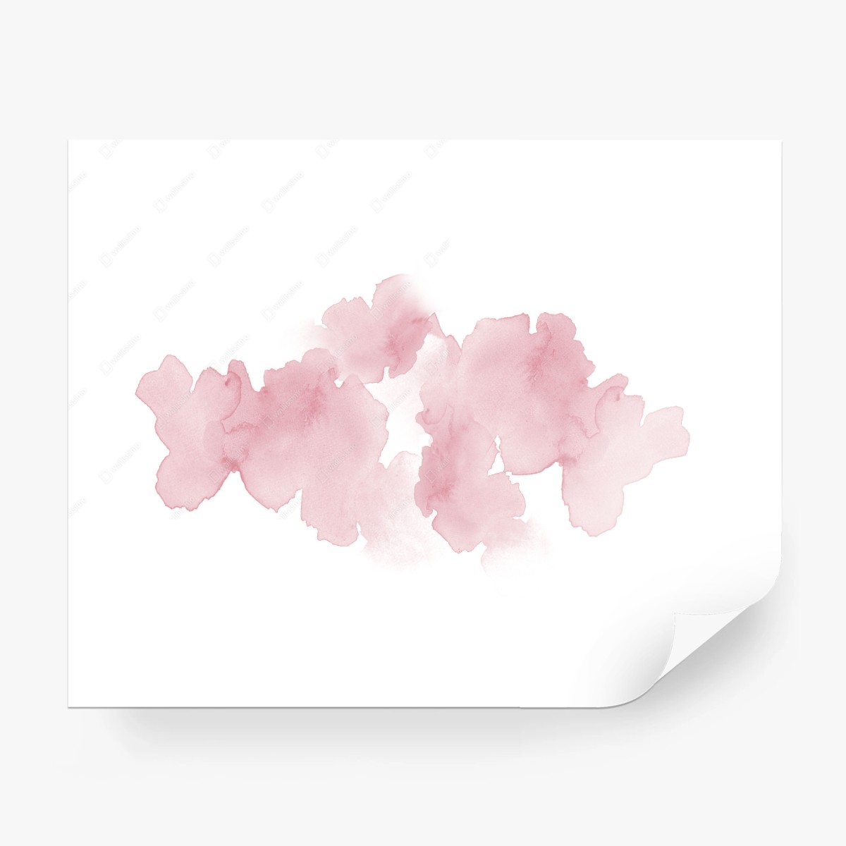Wall mural soft pink watercolor bloom • Wallissimo®
