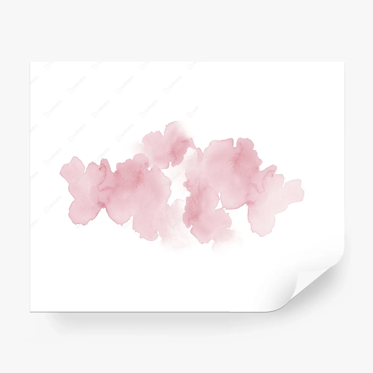 Wall mural soft pink watercolor bloom • Wallissimo®