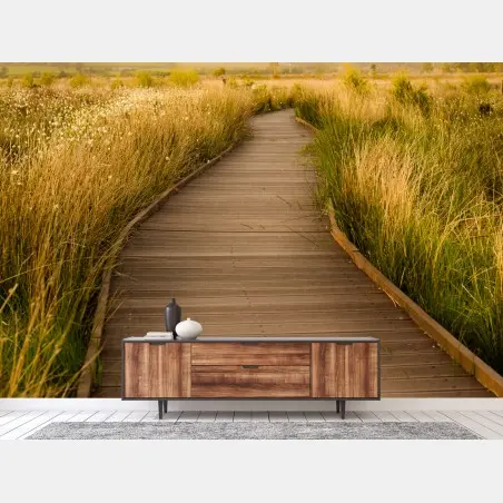 Wall mural sunlit boardwalk through a golden meadow • Wallissimo®