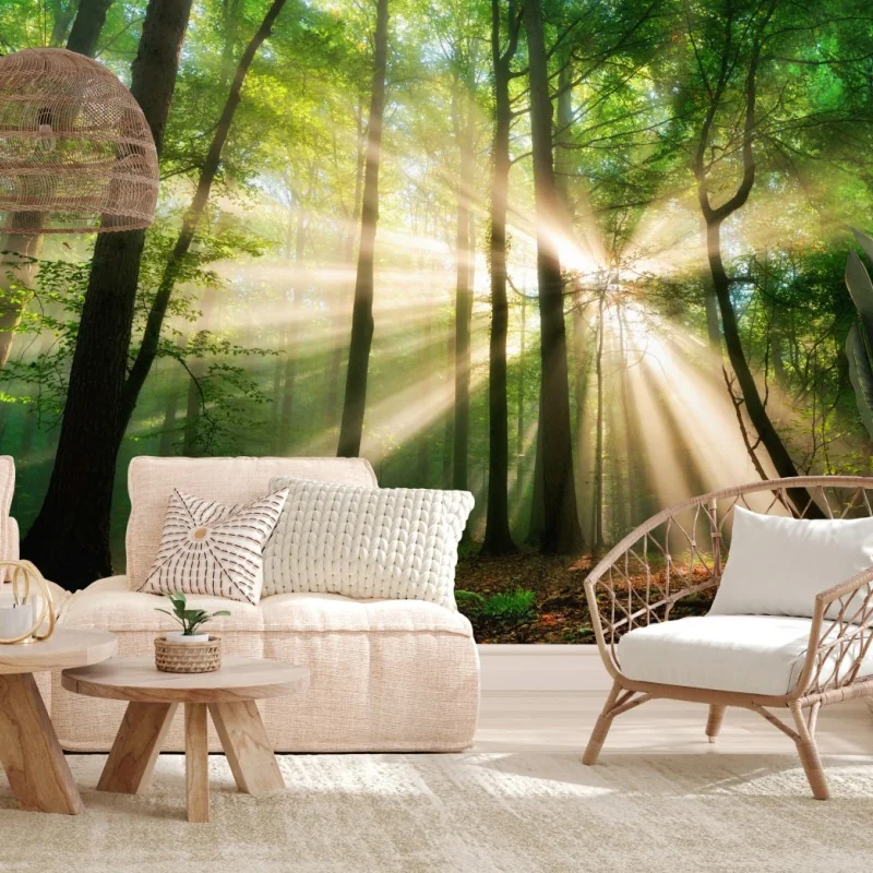 Wall mural sunbeams in a green forest